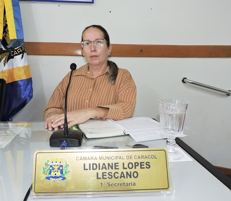 Vereadora Lidiane Lopez Lescano formaliza indicações para melhorias em iluminação e infraestrutura
